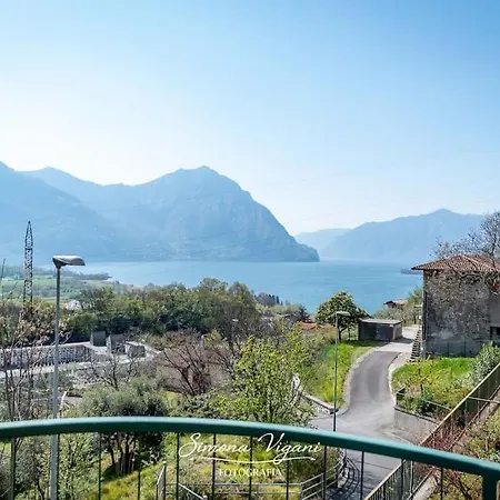 Il Giardino Di Laura Costa Volpino