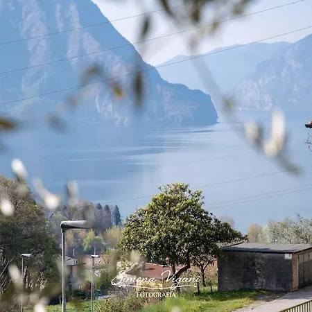Il Giardino Di Laura Daire Costa Volpino